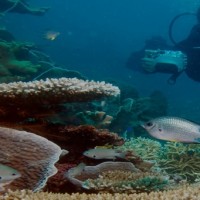 Paket Wisata Karimunjawa Hemat