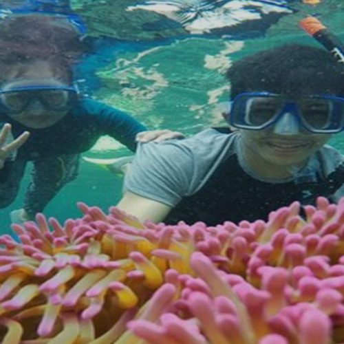 paket wisata pulau pahawang dari lampung