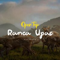 Open Trip Ranca Upas Bandung