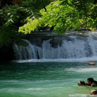 PAKET WISATA Citumang Pangandaran