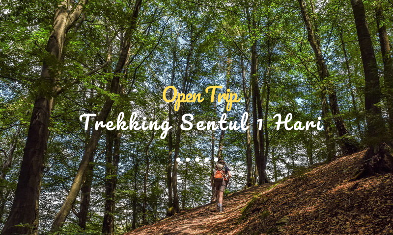 Open Trip Trekking Sentul 1 Hari